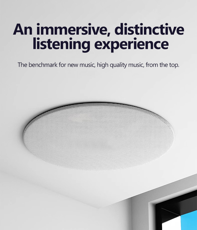 Altavoz Inalámbrico de Techo d - Audio Music Online Free reseña y precio