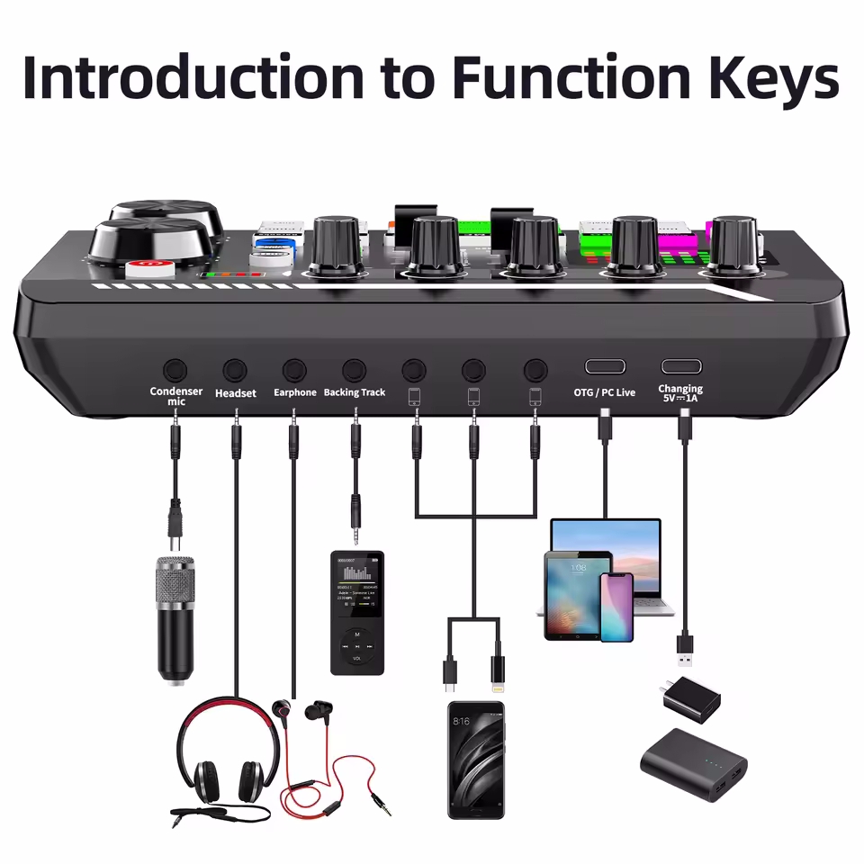 Micrófono de condensador profe - Audio Music Changer reseña y precio